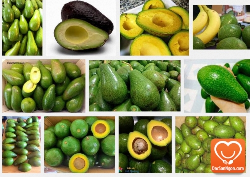 Công dụng tuyệt vời của đặc sản bơ sáp Đà Lạt