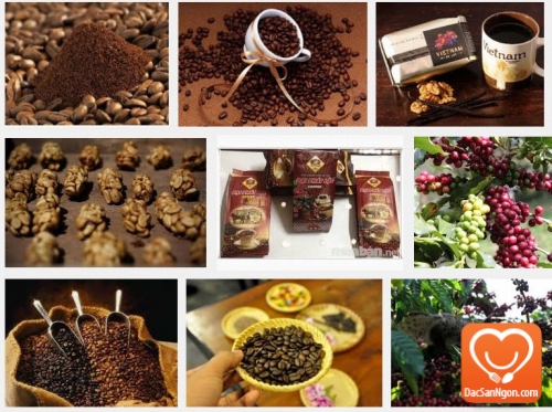 Cà phê Đà Lạt - Đặc sản nổi tiếng ai cũng biết rõ