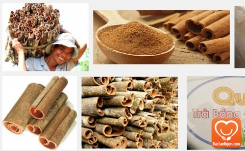 Quế Trà Bông sản vật không thể thiếu trong danh sách đặc sản Quảng Ngãi