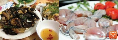 Ếch hương Mẫu Sơn