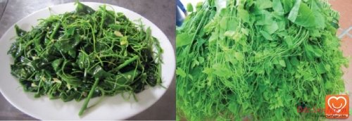 Rau bò khai