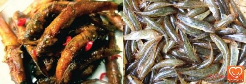 Cá bống sông Trà