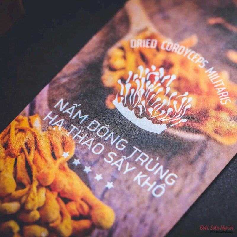 Nấm Đông Trùng Hạ Thảo Sấy Khô, Hộp 10g, Mẫu Quà Tặng - MSN181613