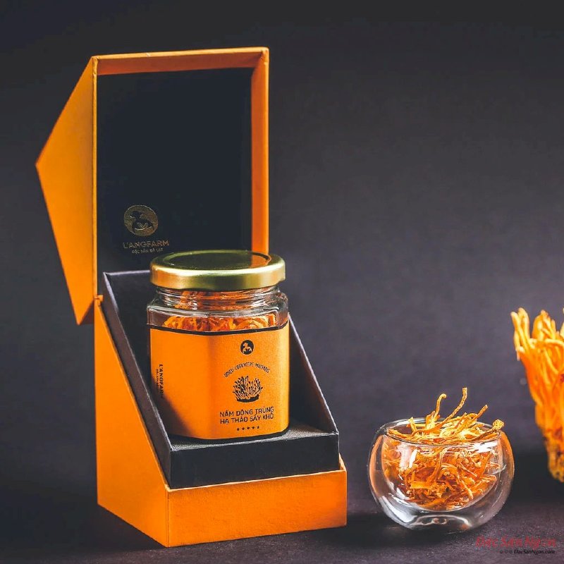 Nấm Đông Trùng Hạ Thảo Sấy Khô, Hộp 10g, Mẫu Quà Tặng - MSN181613
