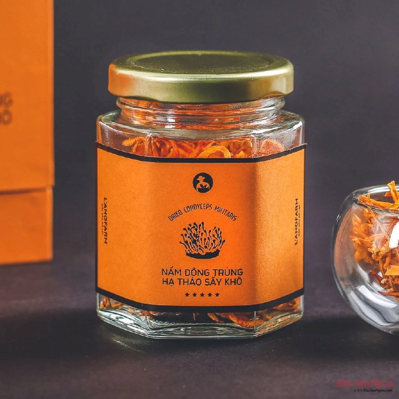 Nấm Đông Trùng Hạ Thảo Sấy Khô, Hộp 10g, Mẫu Quà Tặng - MSN181613